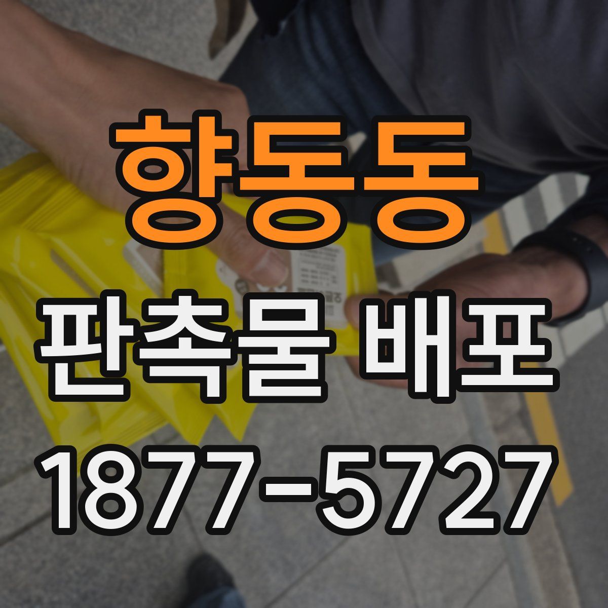 향동동 판촉물 배포