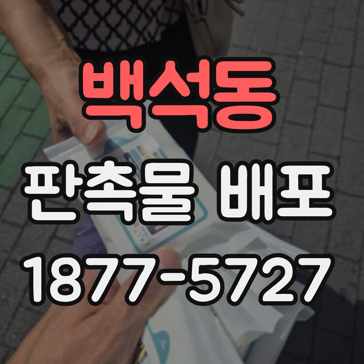 백석동 판촉물 배포