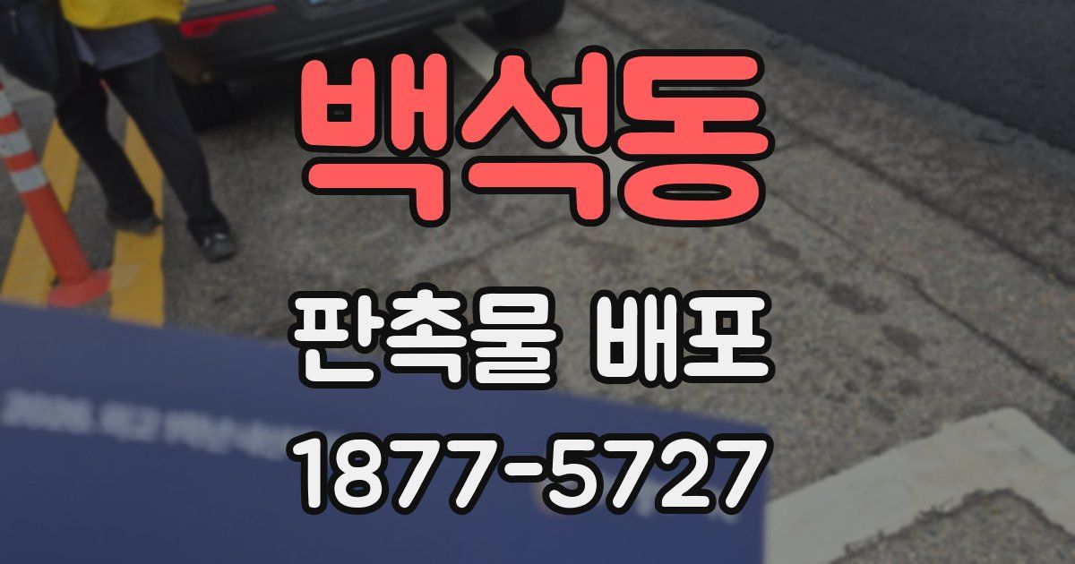 백석동 판촉물 배포