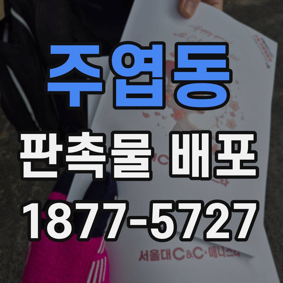 주엽동 판촉물 배포