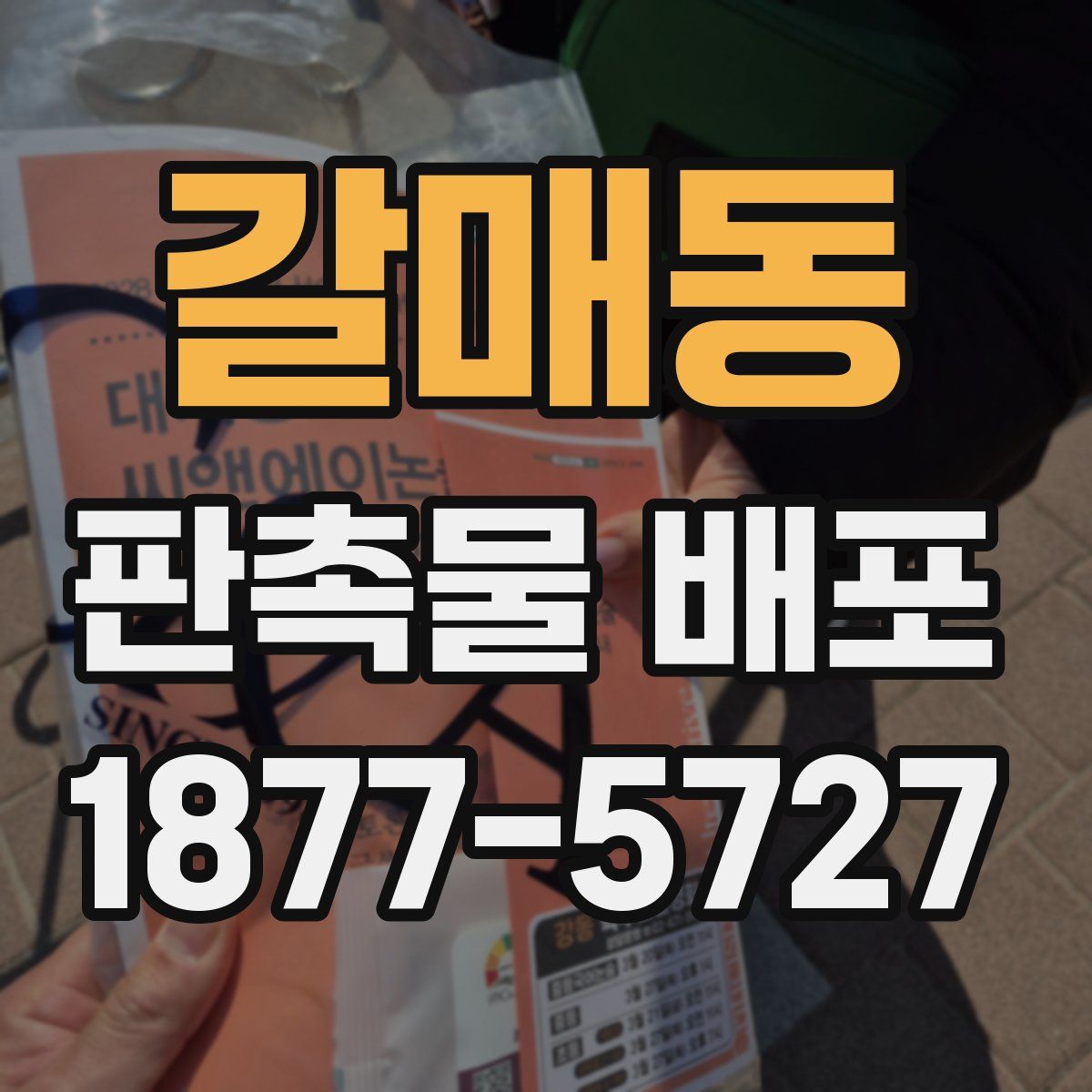 갈매동 판촉물 배포