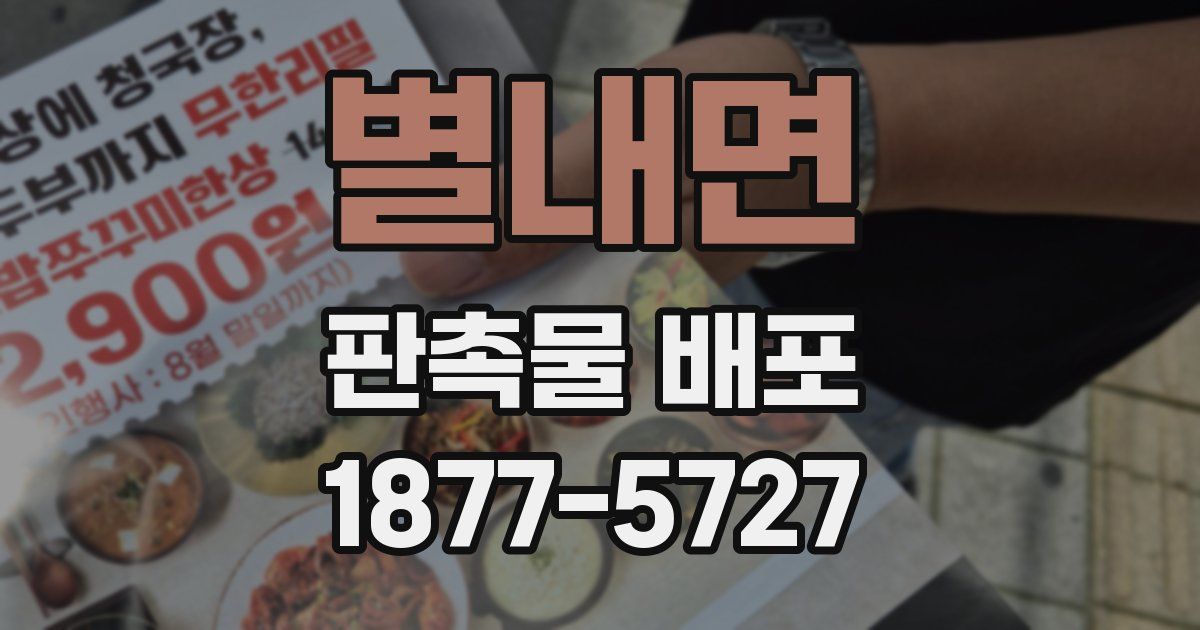 별내면 판촉물 배포