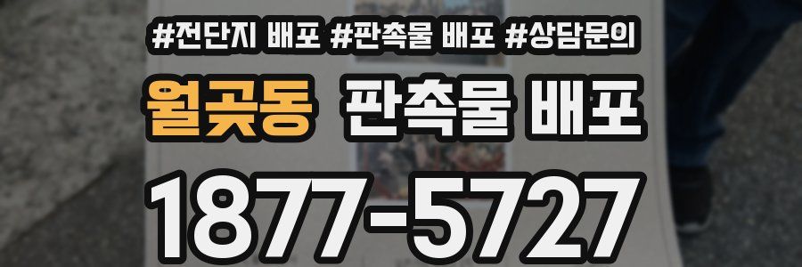 월곶동 판촉물 배포