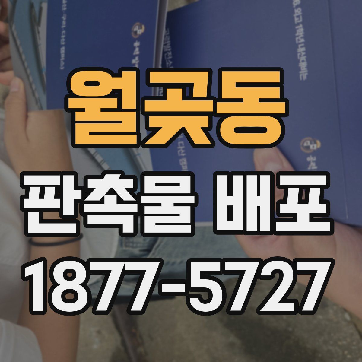 월곶동 판촉물 배포