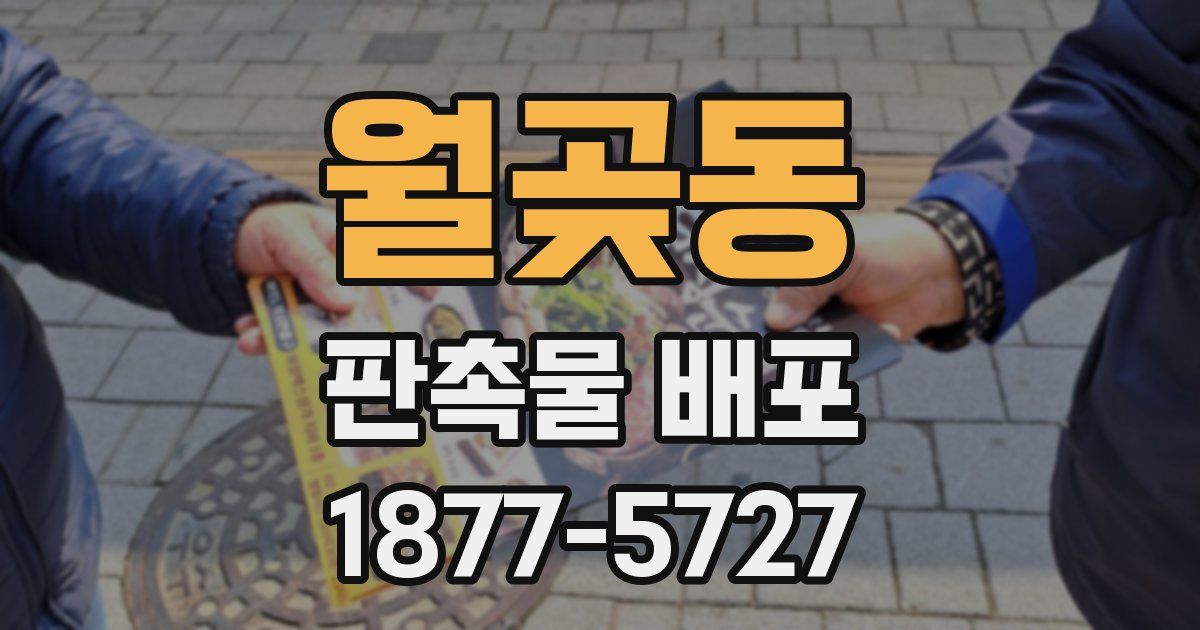 월곶동 판촉물 배포
