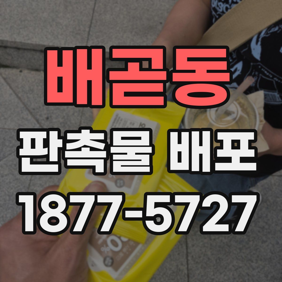 배곧동 판촉물 배포