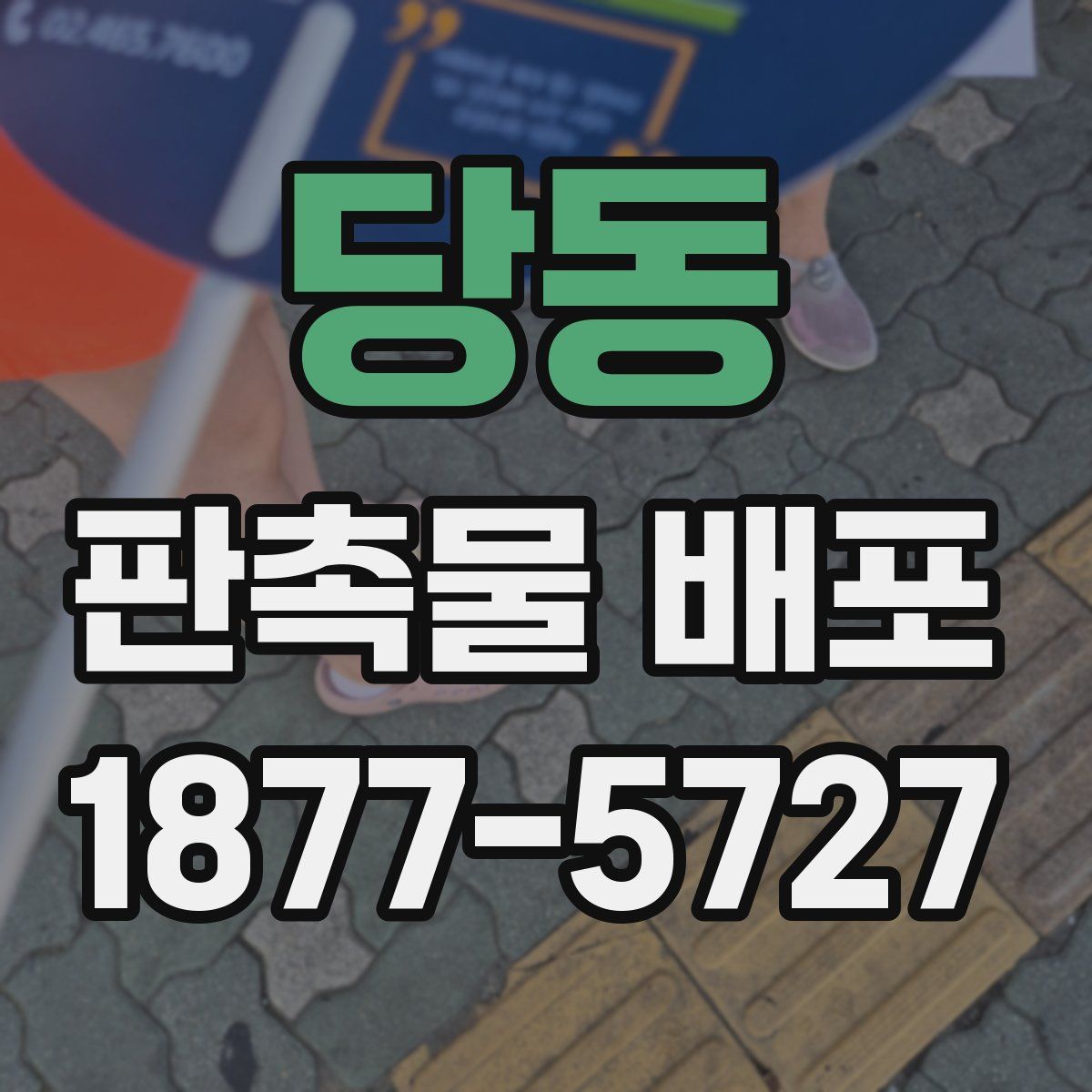 당동 판촉물 배포