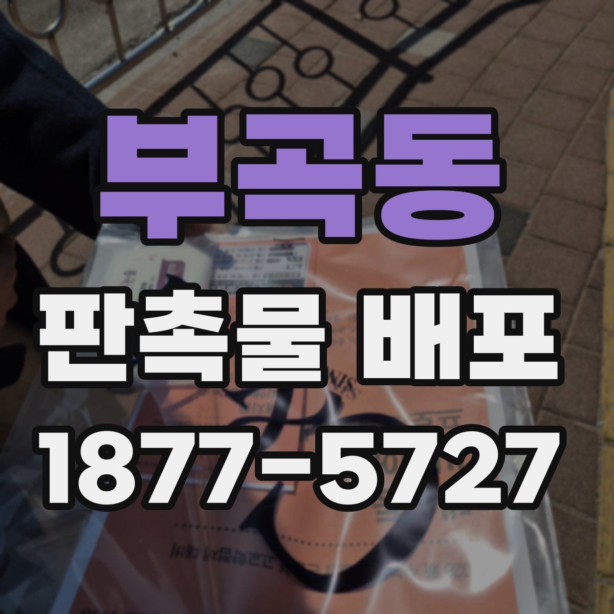 부곡동 판촉물 배포