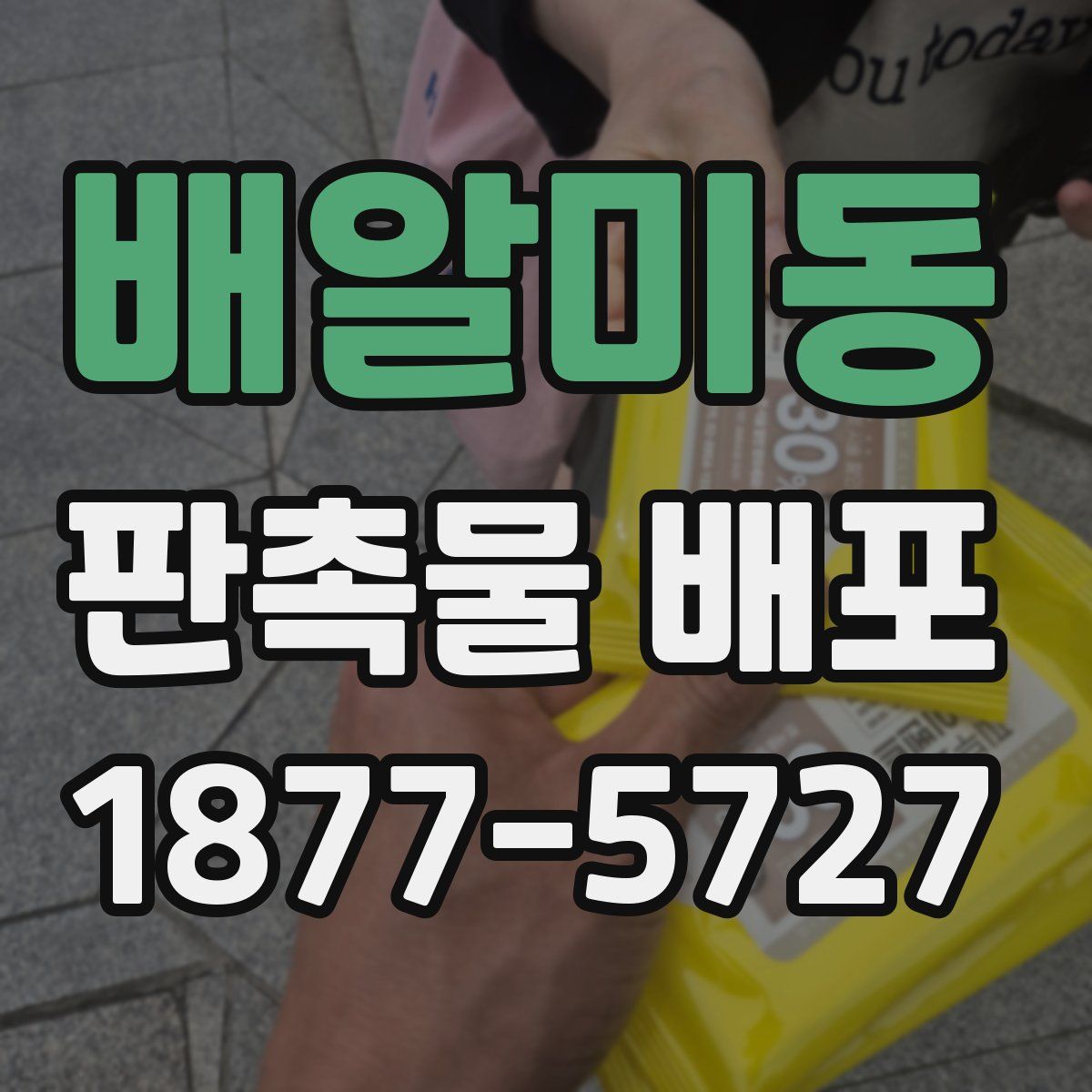 배알미동 판촉물 배포