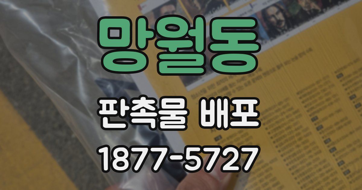 망월동 판촉물 배포