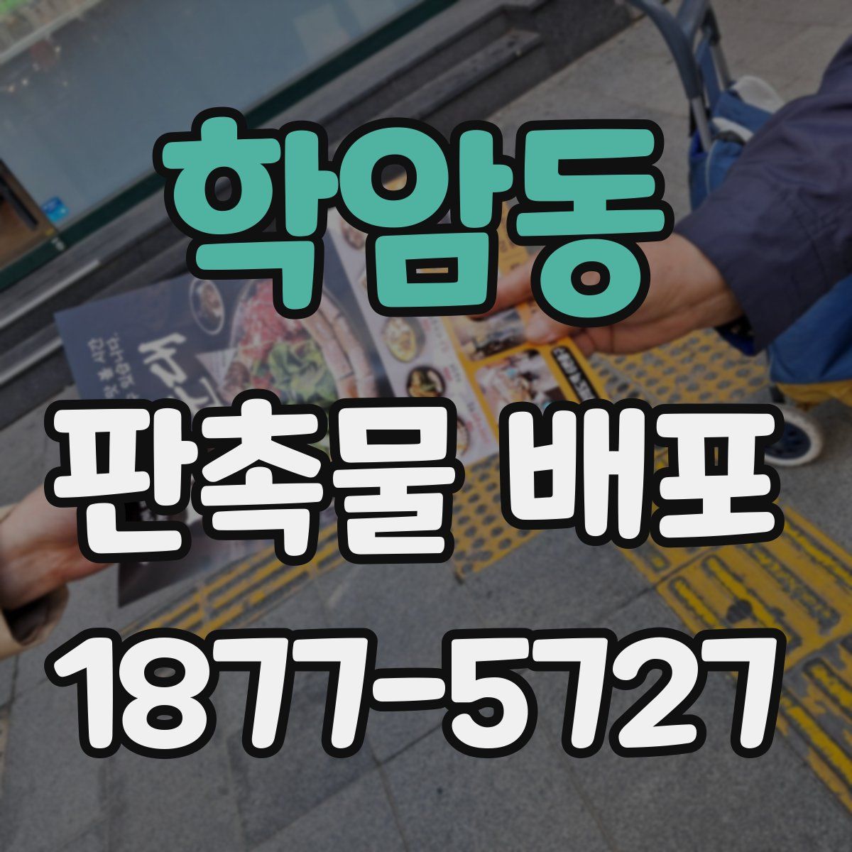 학암동 판촉물 배포