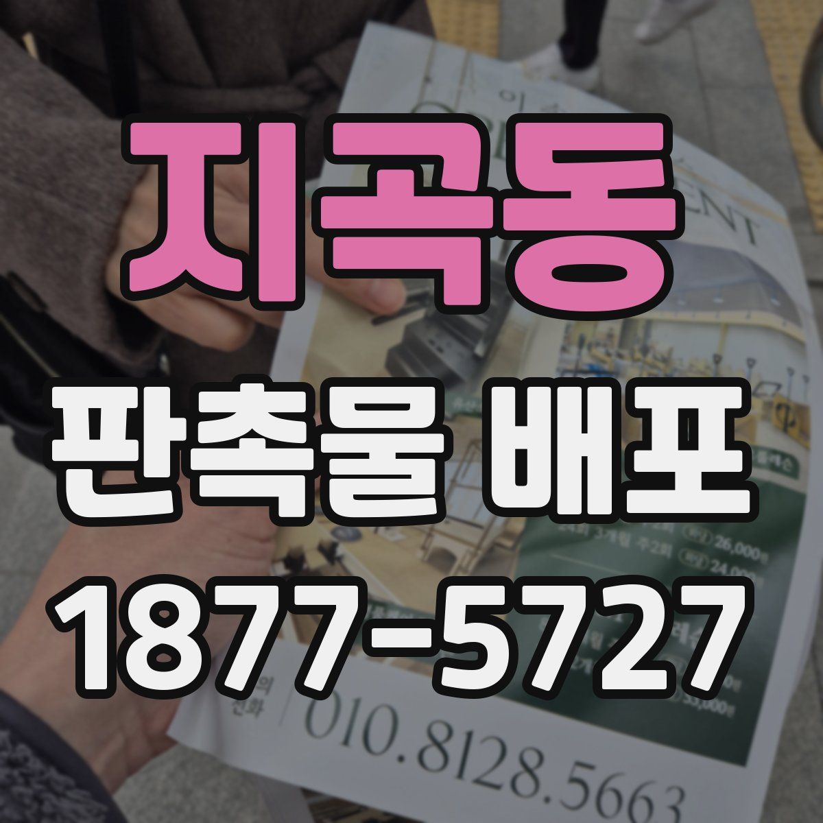 지곡동 판촉물 배포