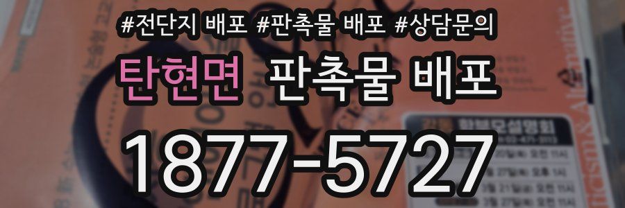 탄현면 판촉물 배포