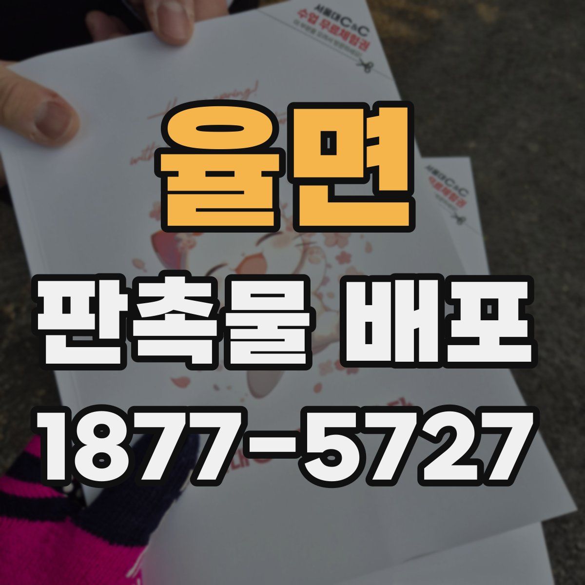 율면 판촉물 배포