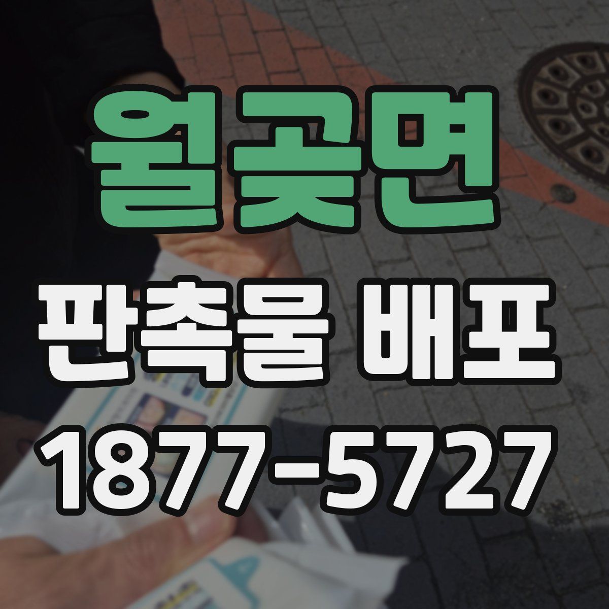 월곶면 판촉물 배포