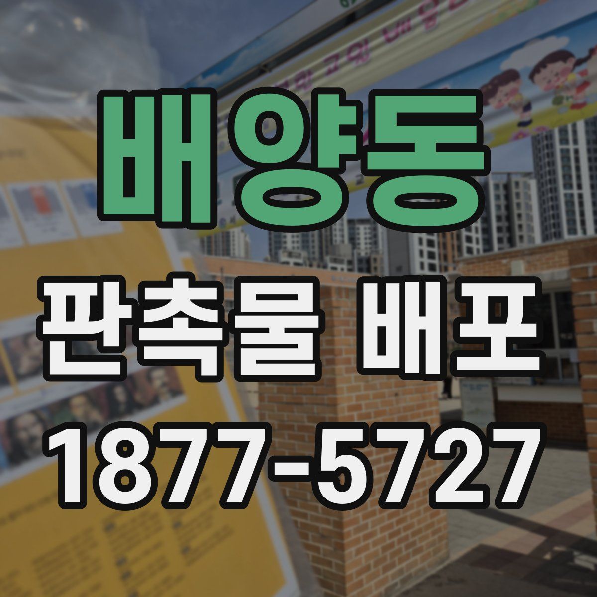 배양동 판촉물 배포