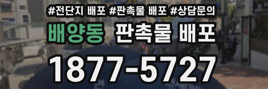 배양동 판촉물 배포
