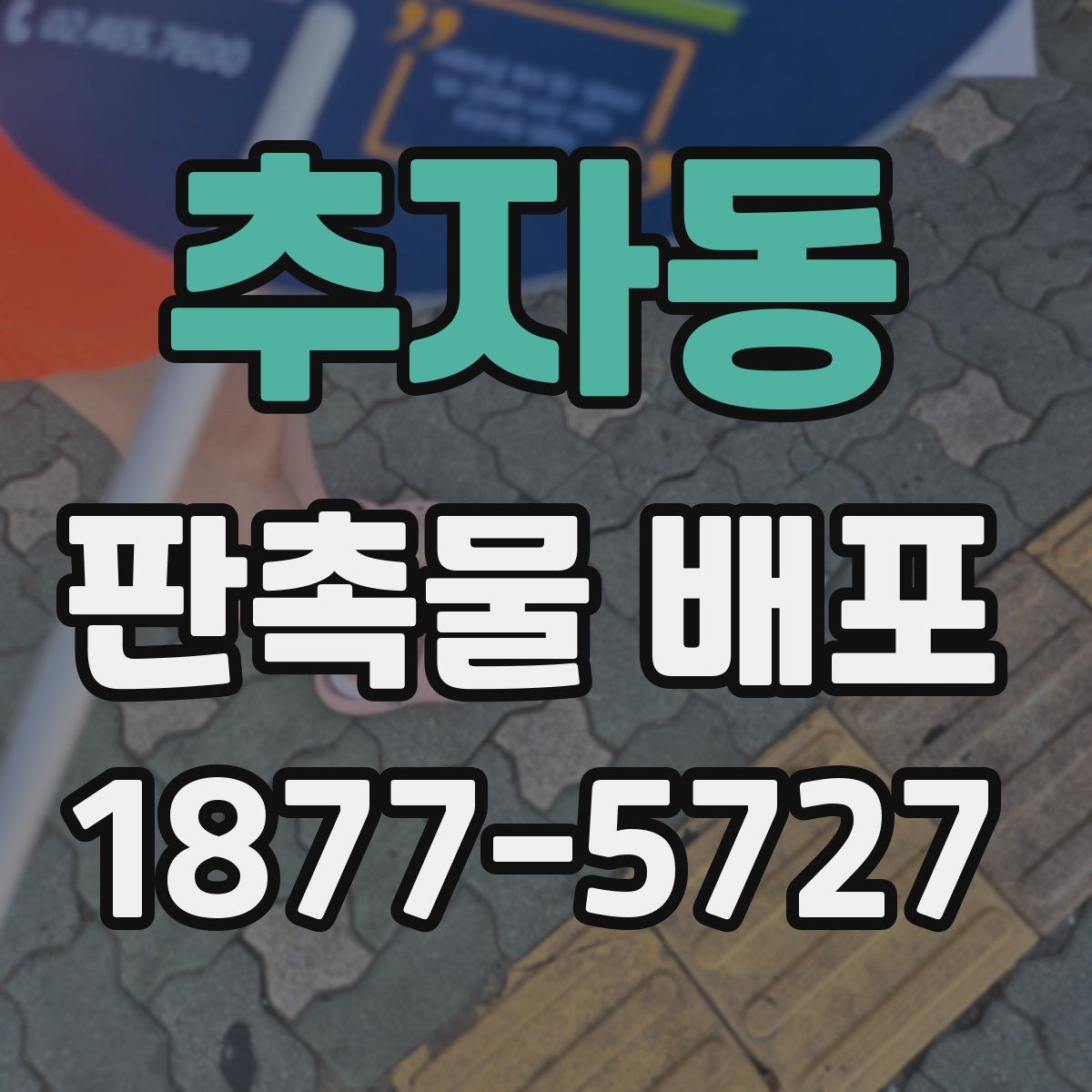 추자동 판촉물 배포