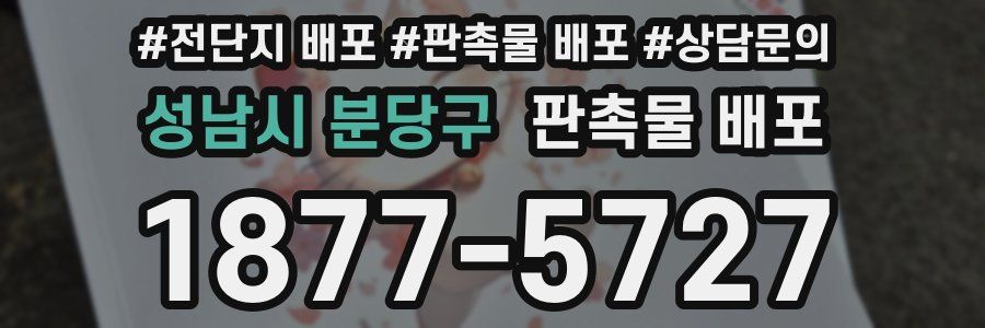 성남시 분당구 판촉물 배포
