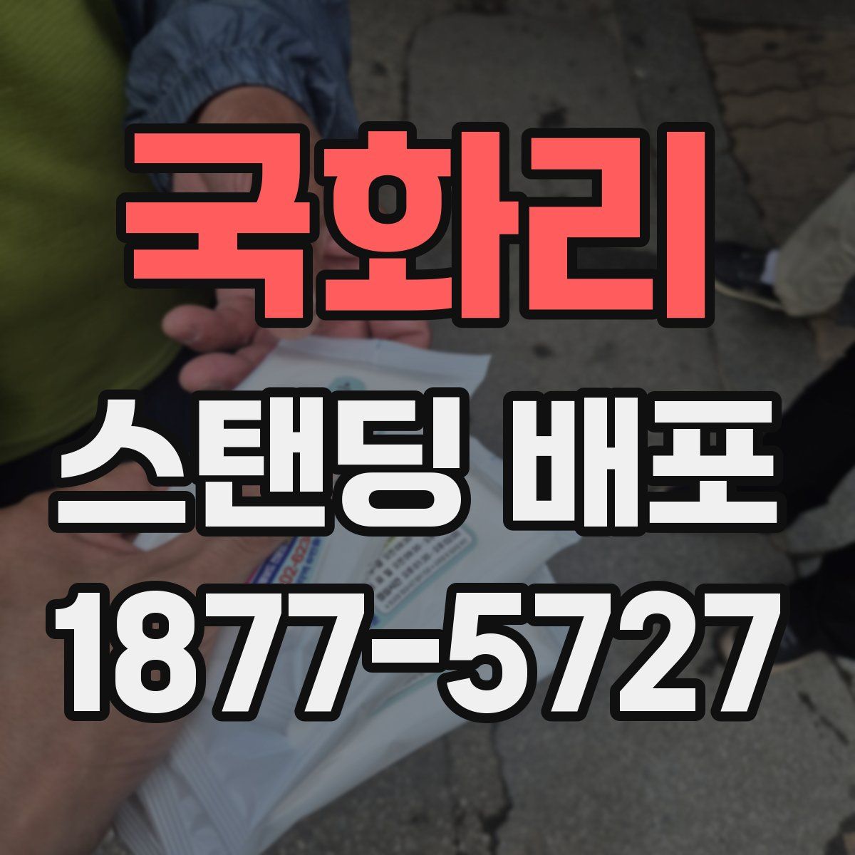 국화리 스탠딩 배포