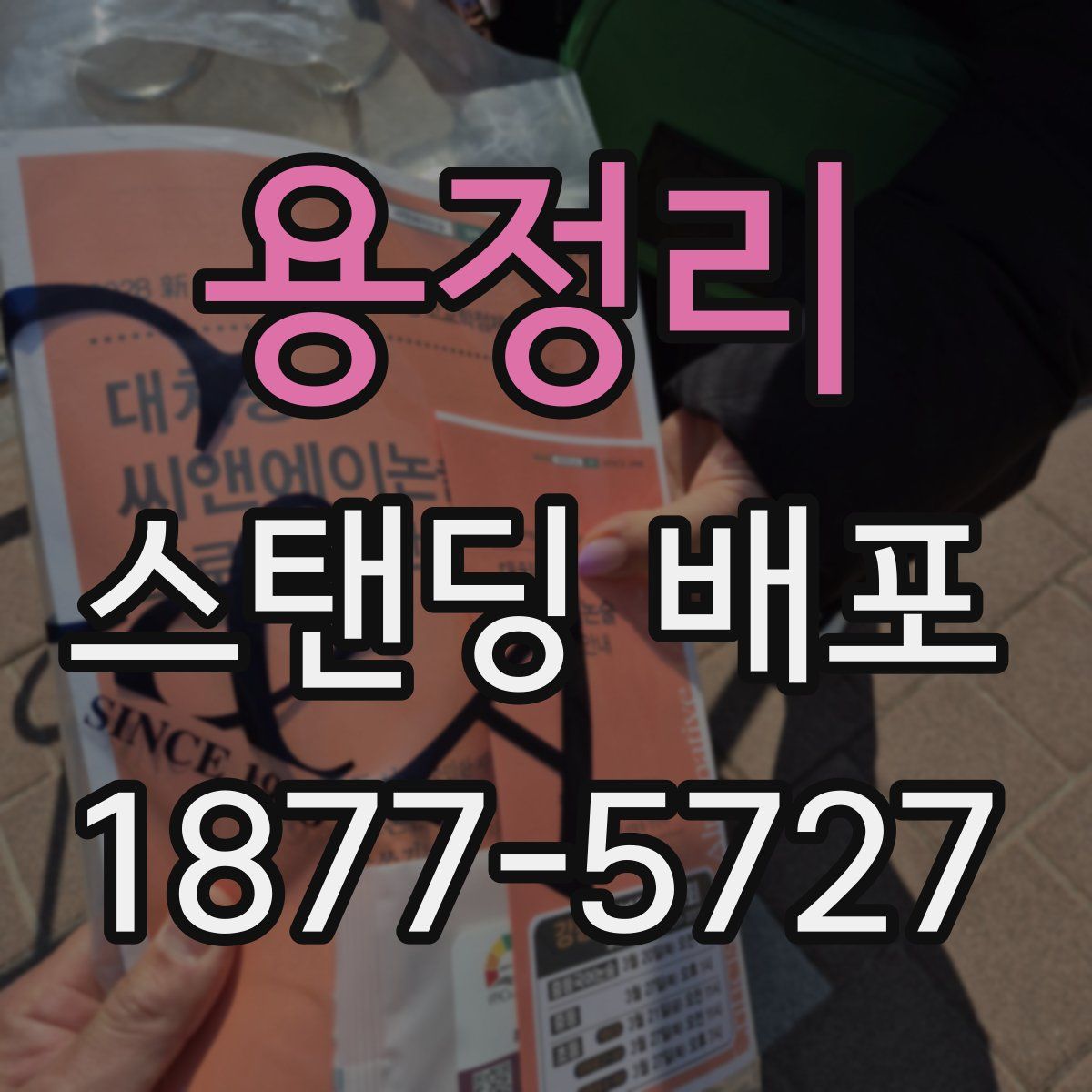 용정리 스탠딩 배포