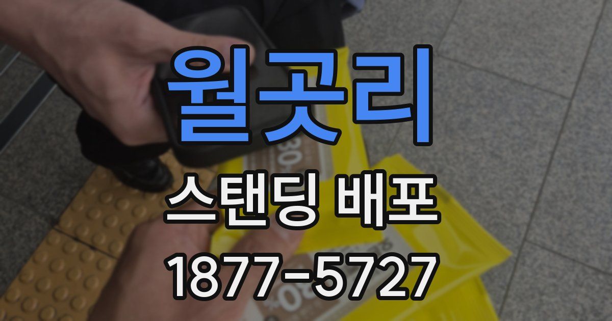 월곳리 스탠딩 배포