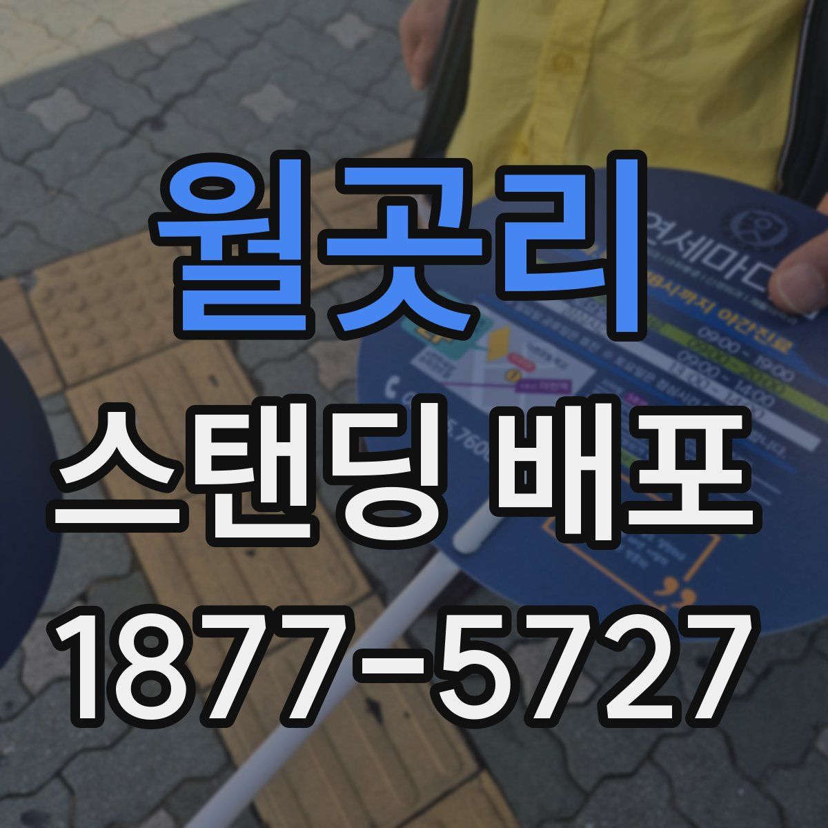 월곳리 스탠딩 배포