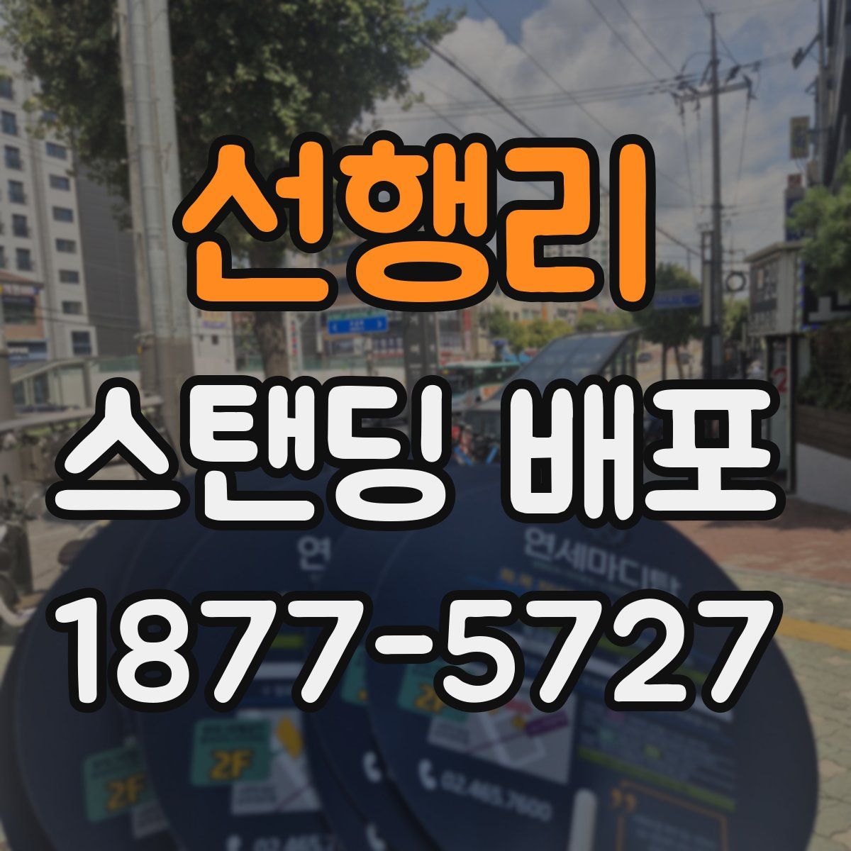 선행리 스탠딩 배포