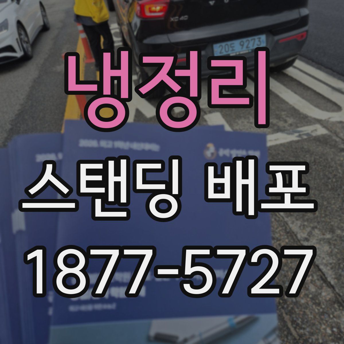 냉정리 스탠딩 배포