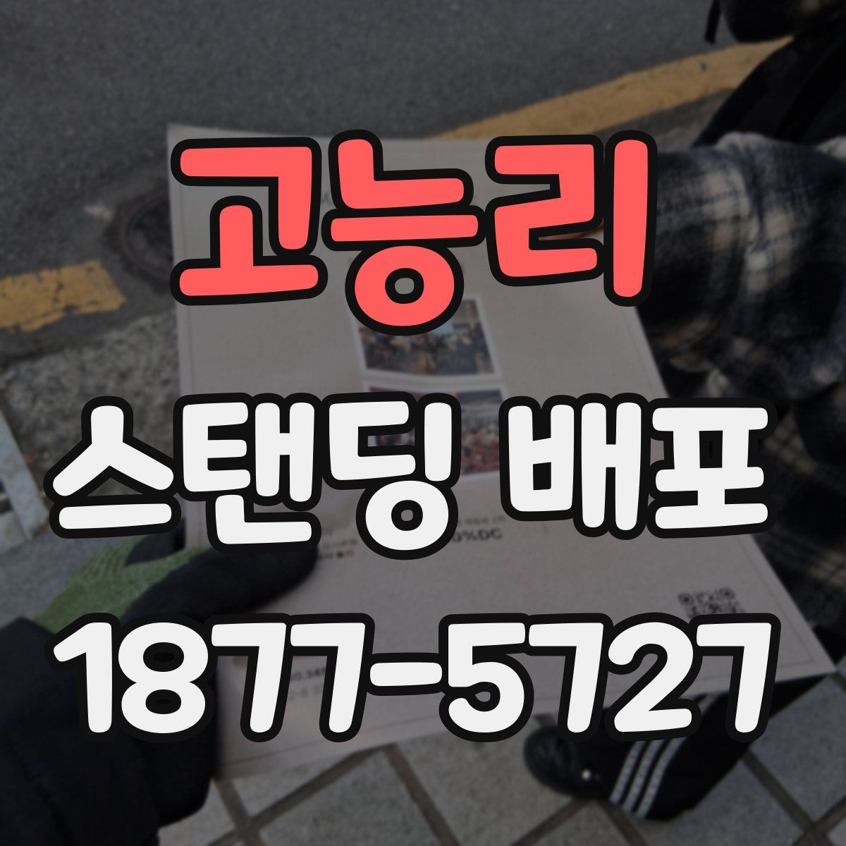 고능리 스탠딩 배포