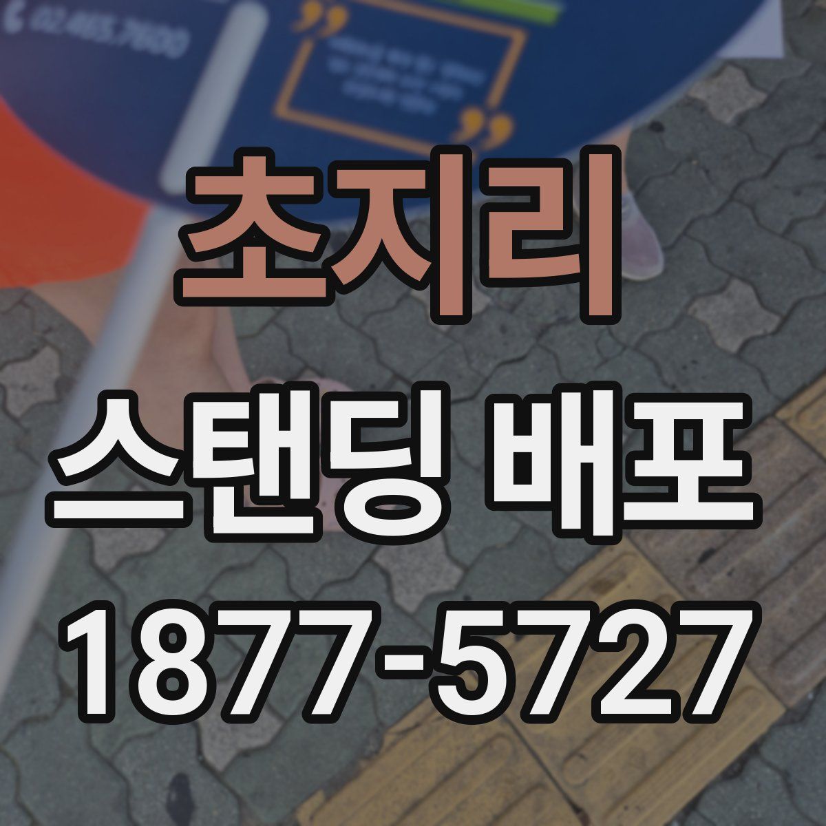 초지리 스탠딩 배포