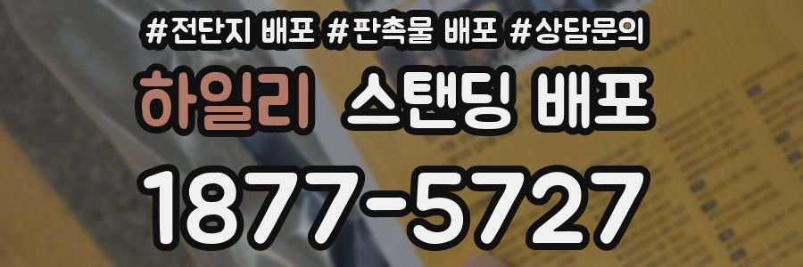 하일리 스탠딩 배포