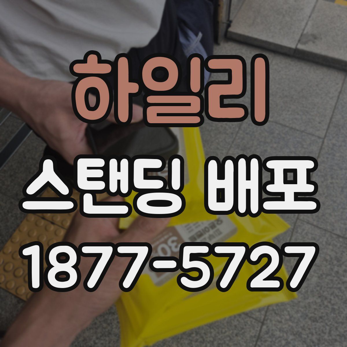 하일리 스탠딩 배포