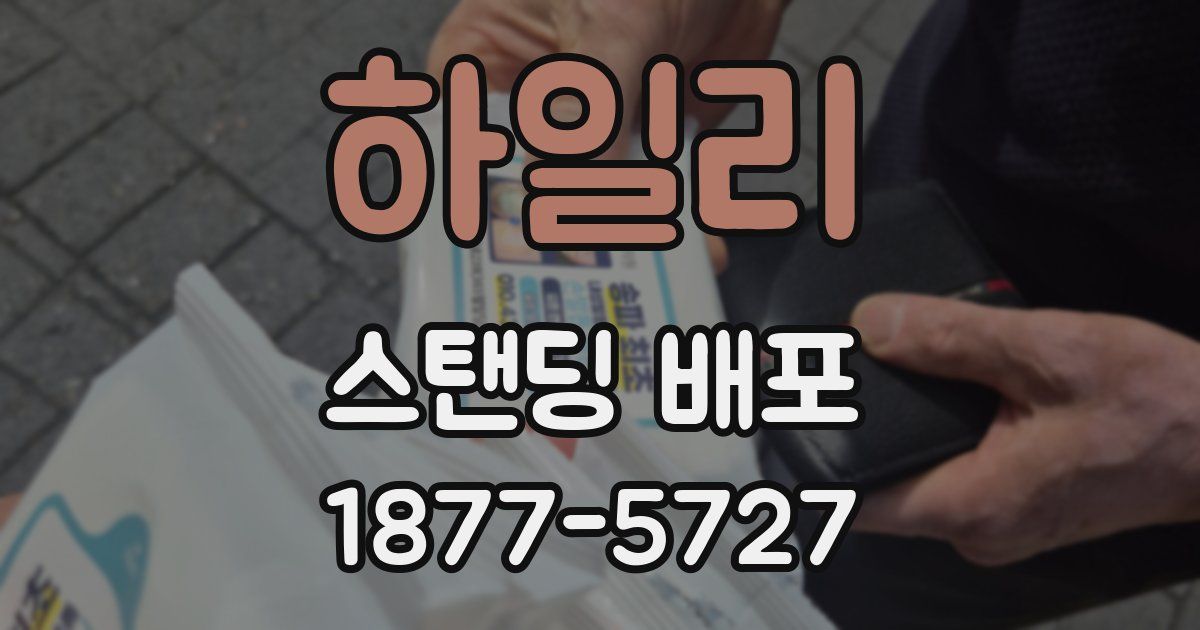 하일리 스탠딩 배포