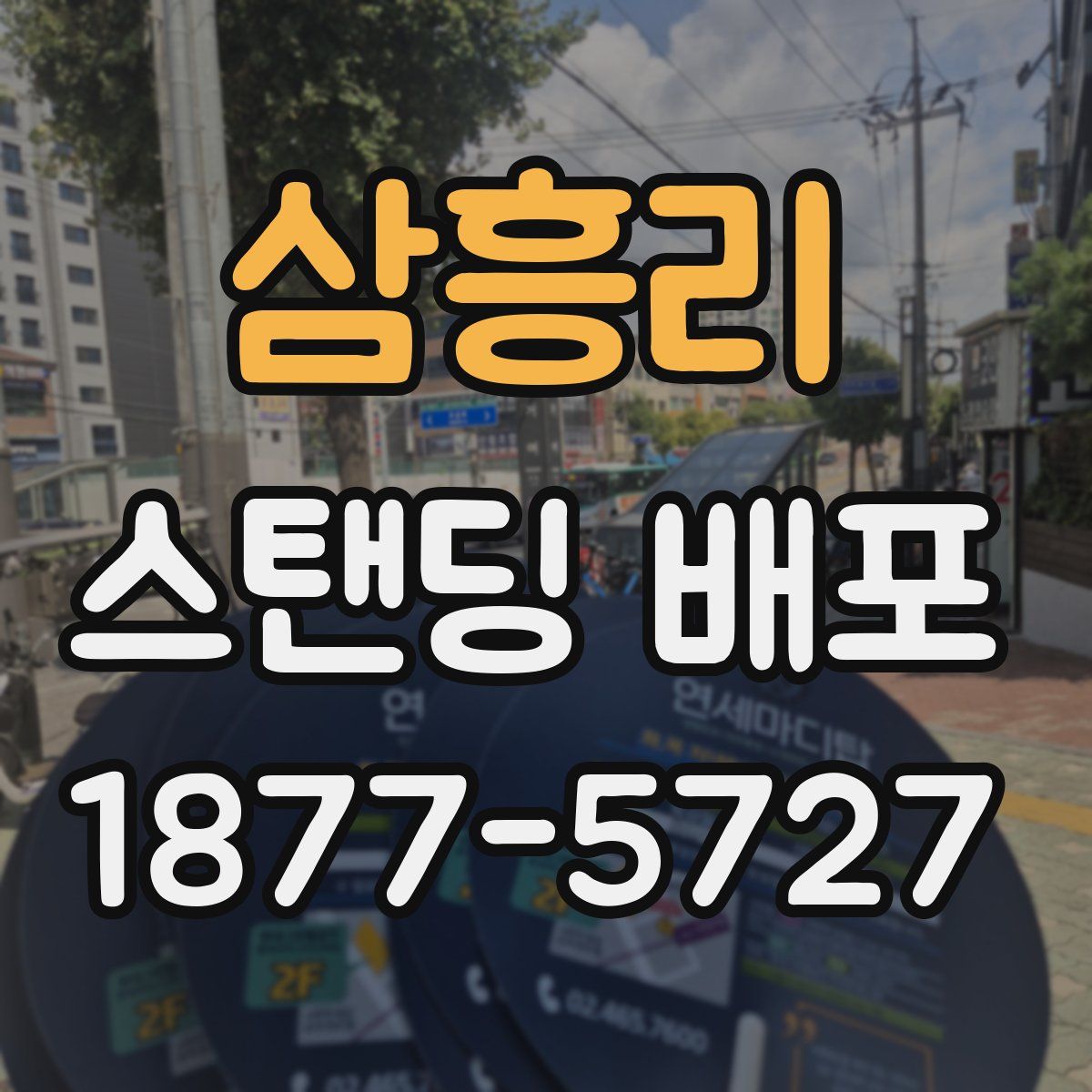삼흥리 스탠딩 배포