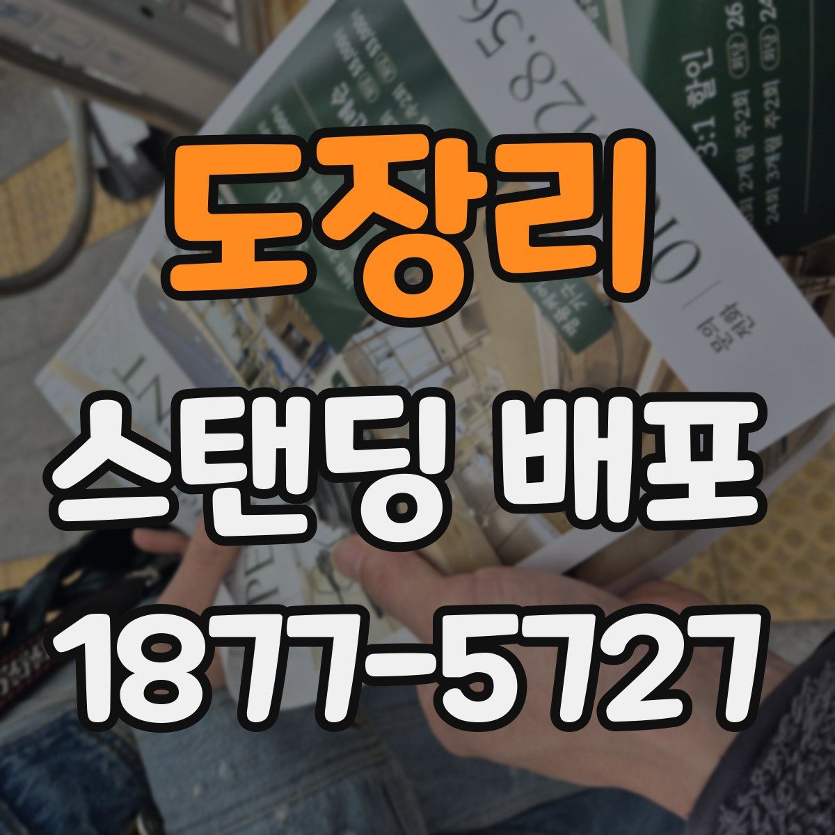 도장리 스탠딩 배포