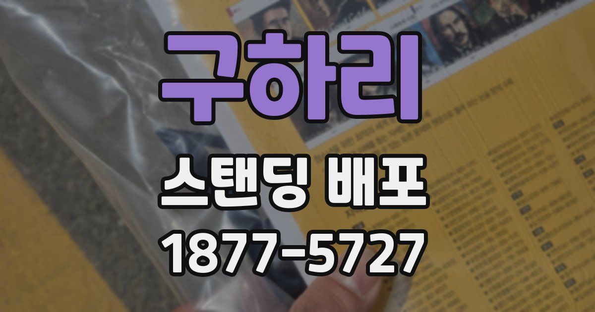 구하리 스탠딩 배포