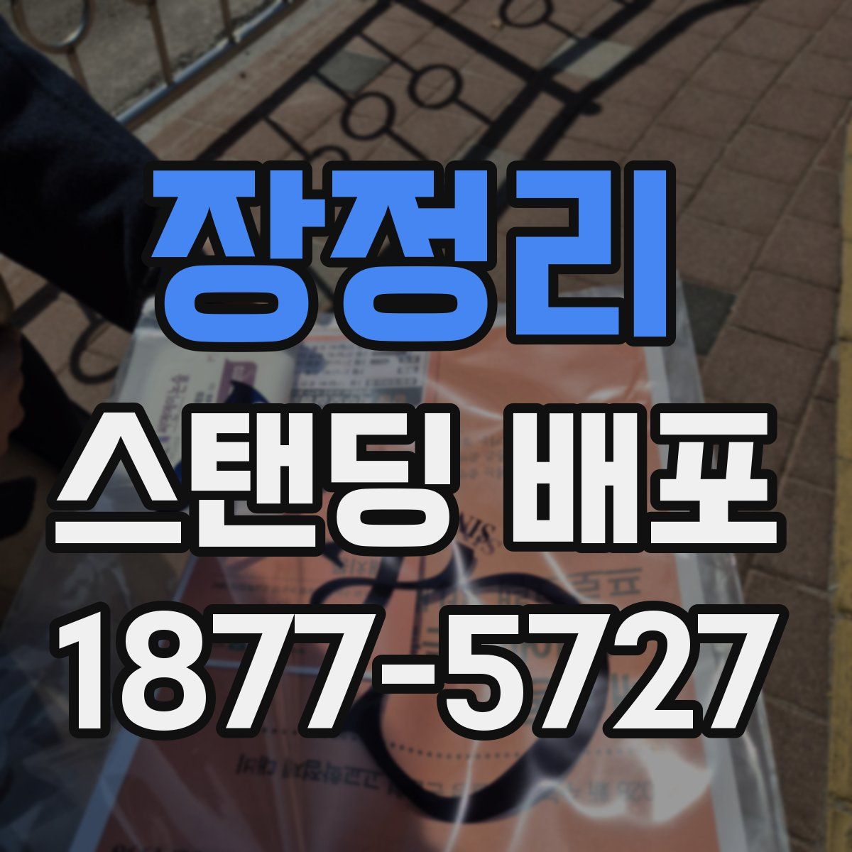 장정리 스탠딩 배포
