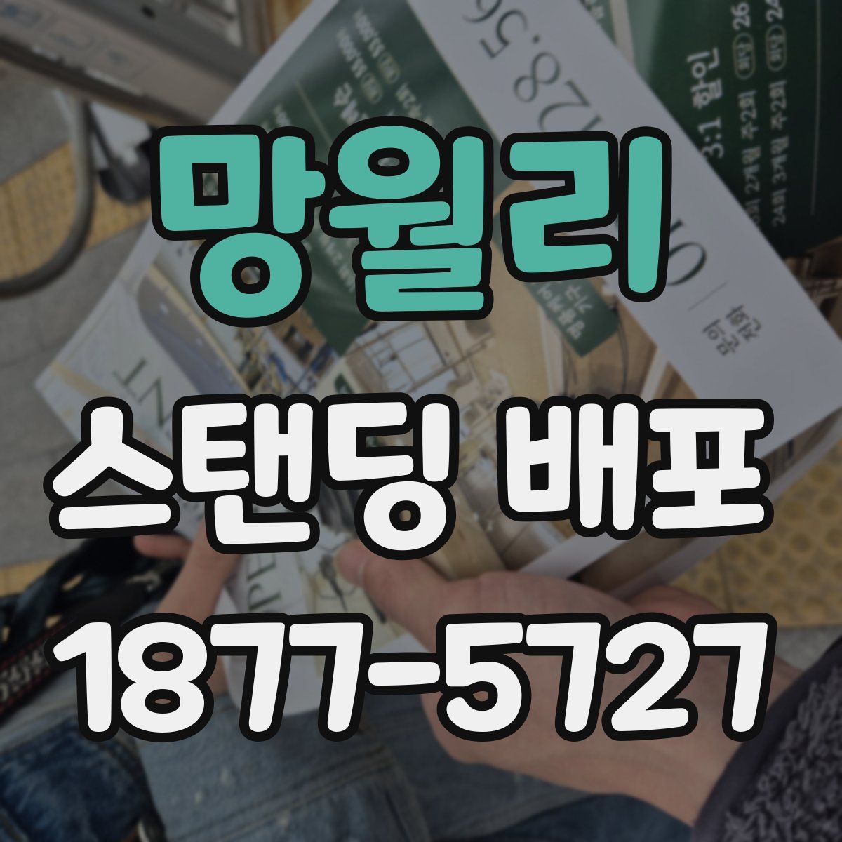 망월리 스탠딩 배포