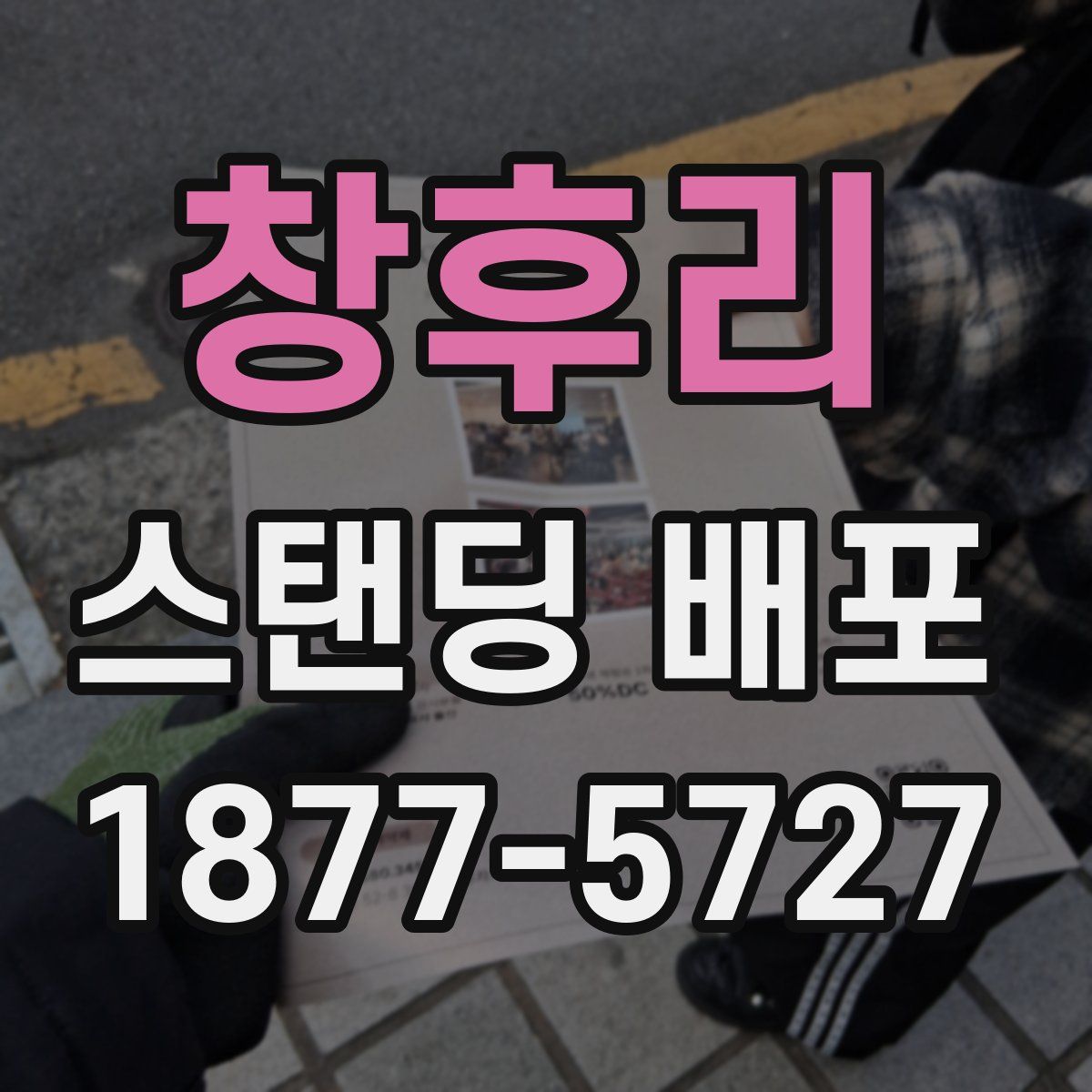 창후리 스탠딩 배포