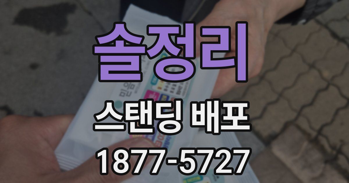 솔정리 스탠딩 배포