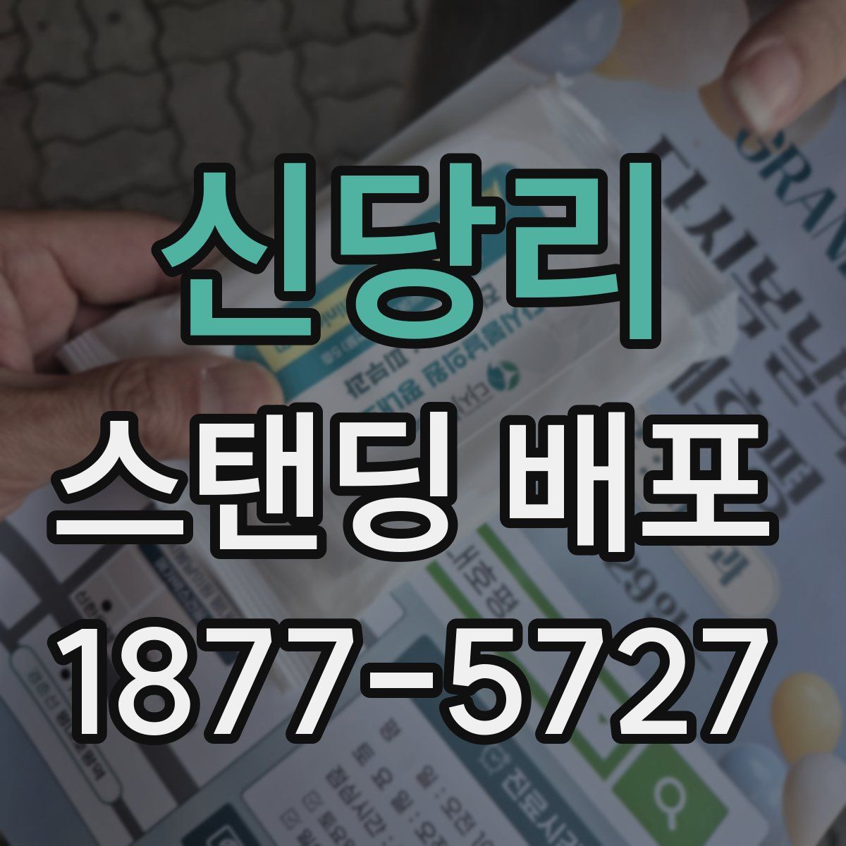 신당리 스탠딩 배포
