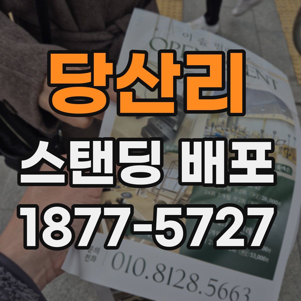 당산리 스탠딩 배포