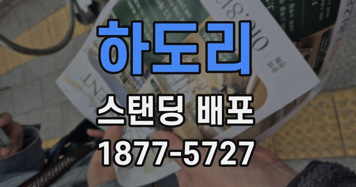 하도리 스탠딩 배포