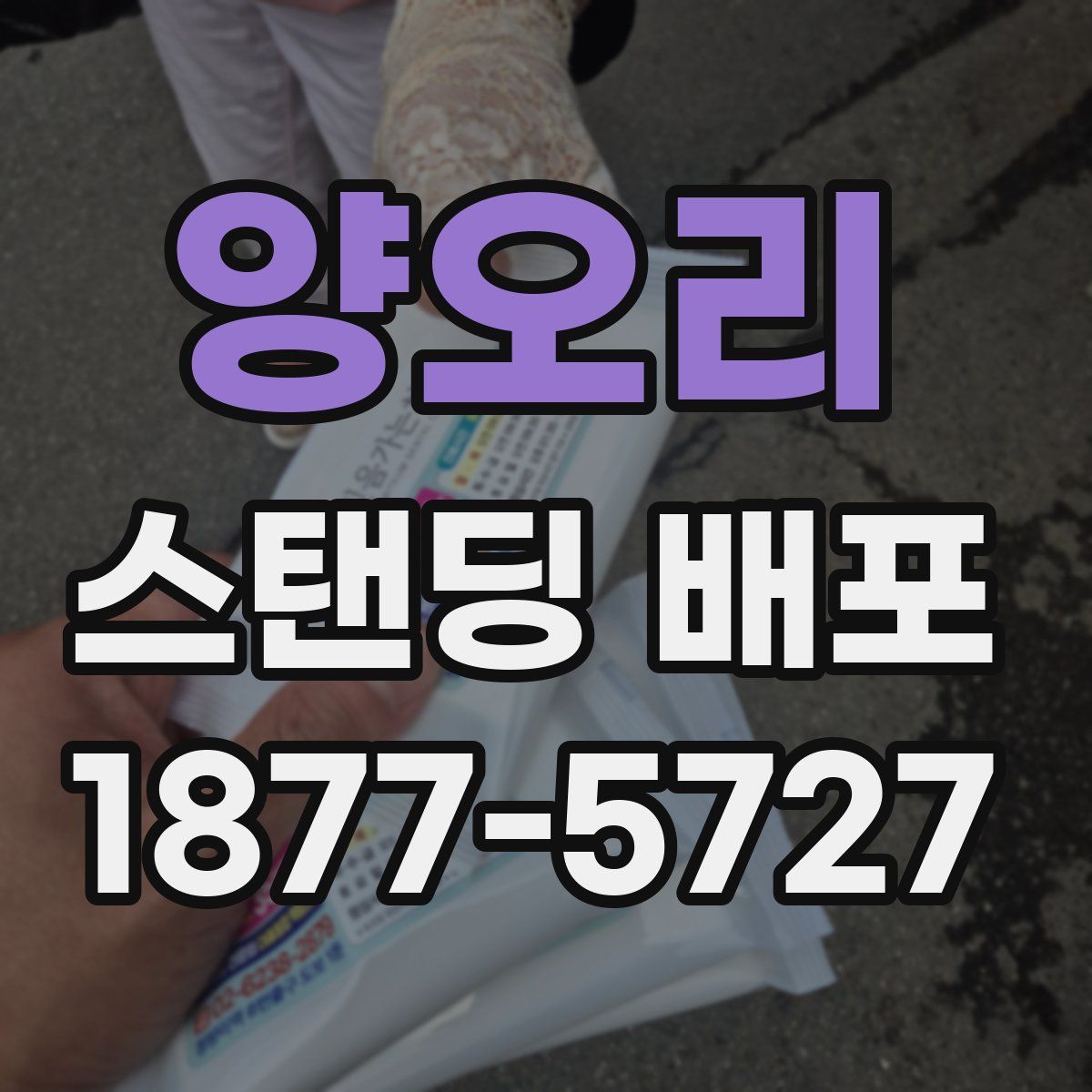 양오리 스탠딩 배포