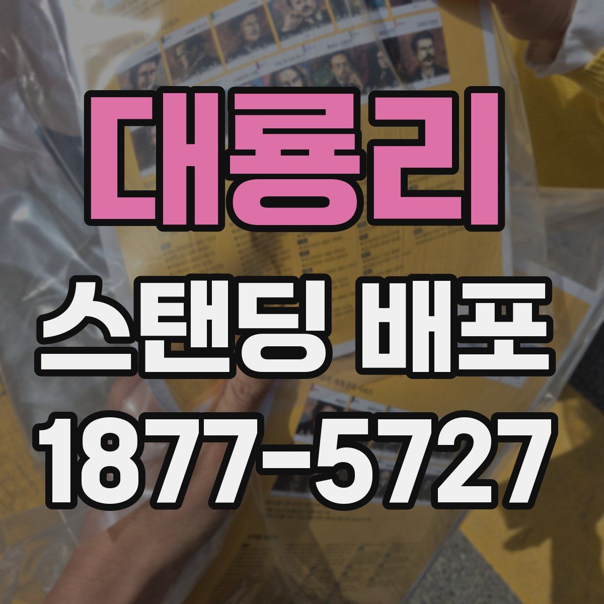 대룡리 스탠딩 배포