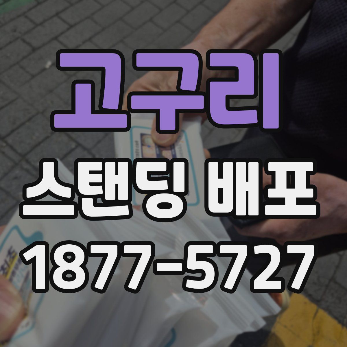 고구리 스탠딩 배포