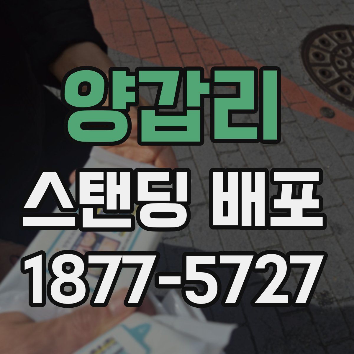 양갑리 스탠딩 배포