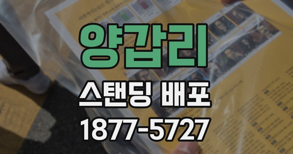 양갑리 스탠딩 배포