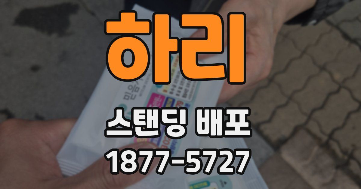 하리 스탠딩 배포